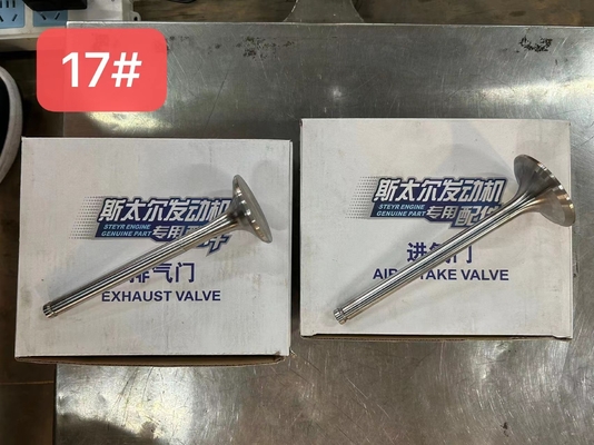 612600050025 Hava Egzoz Valfi Weichai WP10 Dizel Motoru Parçaları