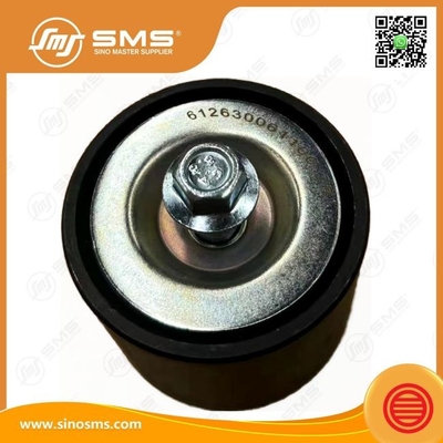 Flat Idler 612630061100 Weichai Motor Parçaları Kemer Gerginlik Kemeri Roller Kemeri Gerginlik Kemeri Katran Gerginlik Kemeri Flat Idler