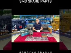 AZ9231320171 Differential Assembly HOWO Kamyon parçaları