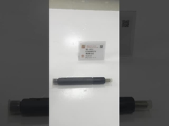 VG1560080276 Yakıt Enjeksiyonu HOWO Kamyon parçaları